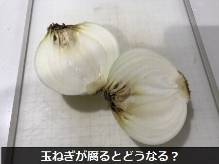 玉ねぎが腐るとどんな状態になるの?