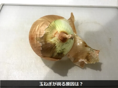 玉ねぎが腐る原因は高温多湿の保管場所