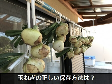 玉ねぎの保存方法と保存期間のまとめ