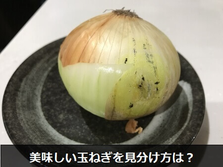 美味しい玉ねぎを見分ける3つのポイント