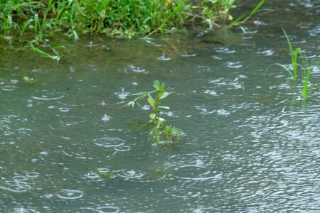 雨の時にお漏らし箇所を部分洗いする時の注意点