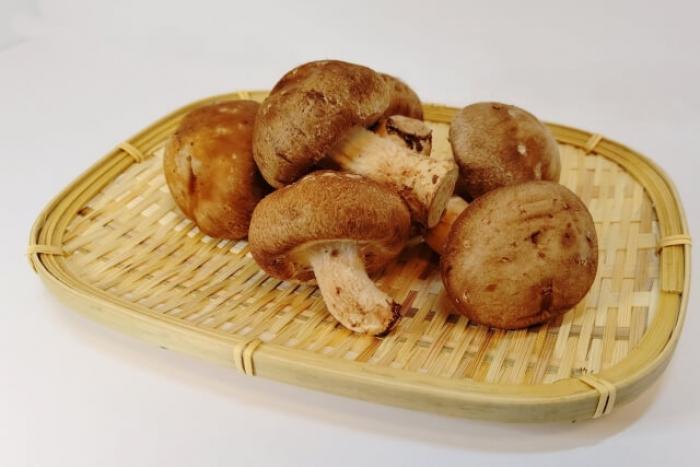 しいたけを冷凍すると旨味UP&長持ち!丸ごとしいたけやスライスして冷凍保存する方法