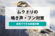 ムクドリ
