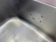 ステンレス 錆びる