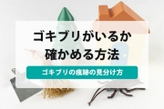 部屋にゴキブリがいるか確かめる方法