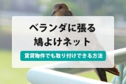 防鳥ネット 張り方