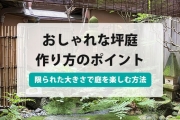坪 庭