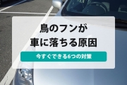 鳥のフン 車