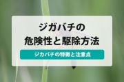 ジガバチ 巣