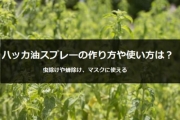ハッカ 油 スプレー
