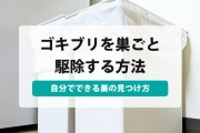 ゴキブリ 巣