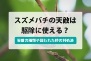 スズメバチ 天敵