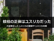 ユスリカ 大量 発生