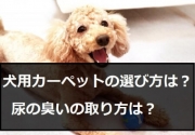 犬 カーペット