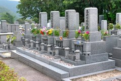 墓参りの花のマナー 墓参りの花のマナーやお供えに避けるべき花 すまいのほっとライン