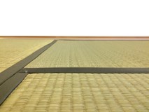 畳にカビが生えてた 畳のカビに効果的な掃除方法と予防方法を解説 すまいのほっとライン