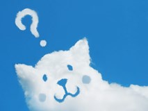 ねずみのふん