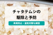 チャタテムシ 駆除
