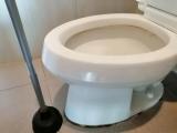 トイレ詰まり スッポン