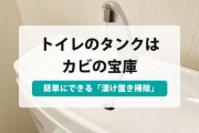 トイレタンク 掃除