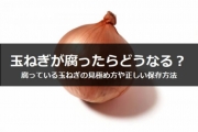 玉ねぎ 腐る