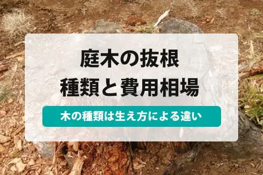 抜根依頼 重機入れるスペース有り