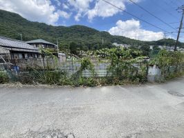 草刈り（草刈り機）36923B