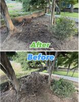 庭木の伐採・抜根37783A