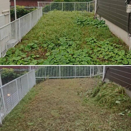 植木刈り込み 生垣 植木の刈り込み すまいのほっとライン