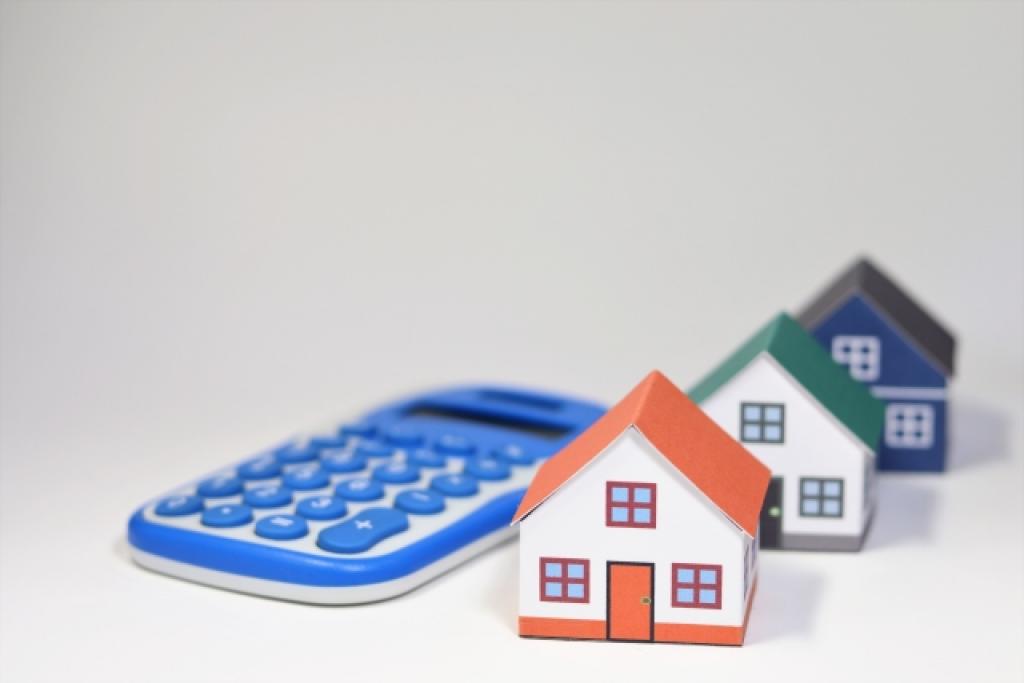 ネズミ駆除のサービス写真 ネズミ駆除のサービス写真