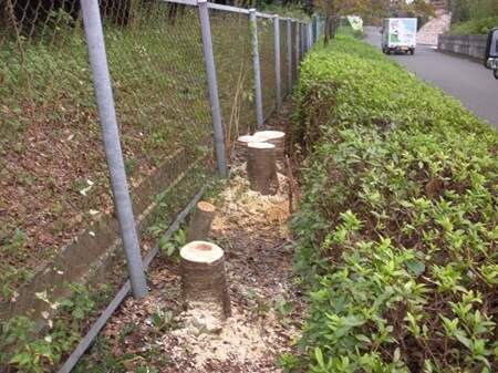 ☆安心！丁寧！満足！信頼出来る様に心がけています★住宅街では充電タイプ使用で静音のサービス写真3