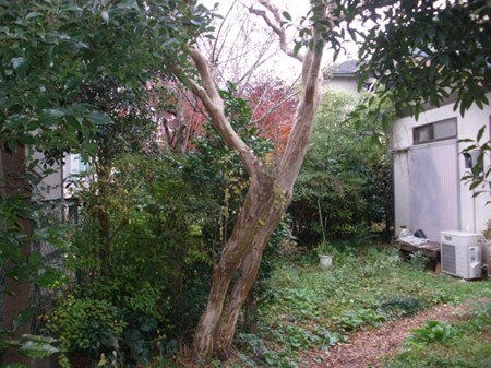 ☆安心！丁寧！満足！信頼出来る様に心がけています★住宅街では充電タイプ使用で静音のサービス写真4