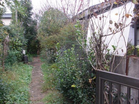 ☆お客様のご要望をしっかりとヒアリング！安心！丁寧！綺麗★庭木をスッキリ★のサービス写真2