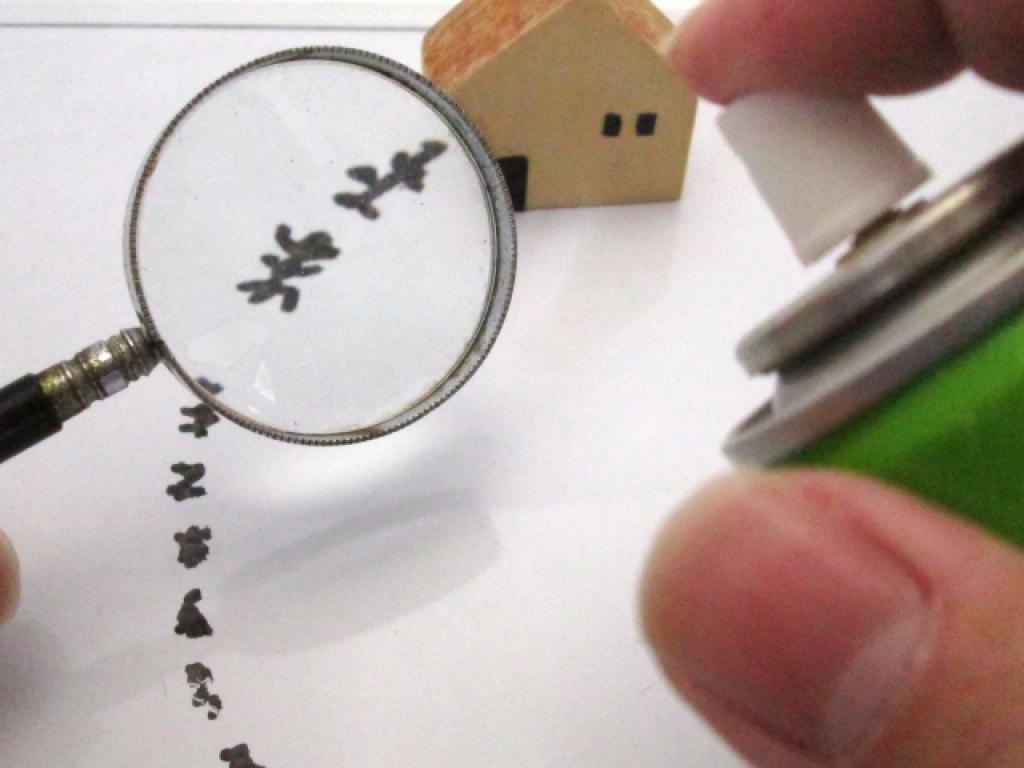 毛虫・チャドクガ駆除のサービス写真