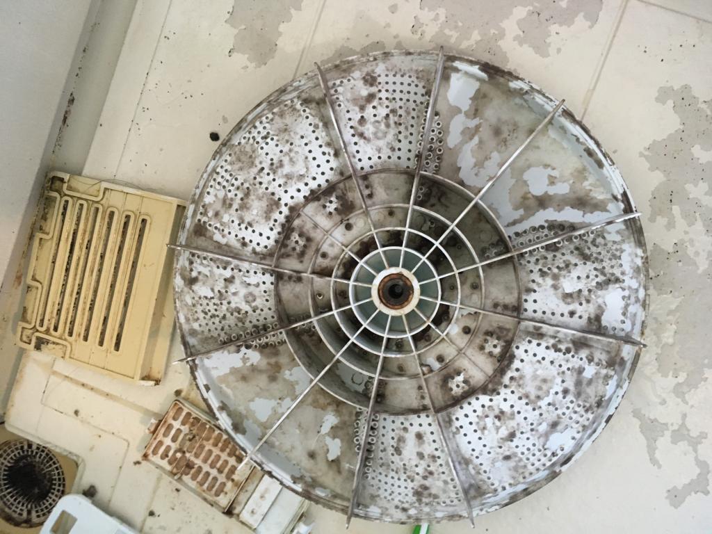 大好評！！高圧洗浄で黒カビの嫌な匂いのする（縦型洗濯槽）洗濯機も新品に蘇ります。のサービス写真4