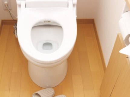 トイレクリーニングのサービス写真 トイレクリーニングのサービス写真