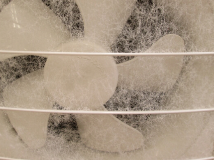 レンジフード(換気扇)クリーニング(プロペラ型)のサービス写真 レンジフード(換気扇)クリーニング(プロペラ型)のサービス写真