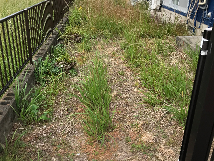 草むしり（手作業）のサービス写真