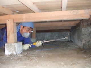 シロアリ駆除のサービス写真