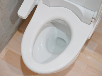 トイレクリーニングのサービス写真