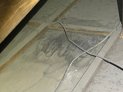 ⭐︎ハクビシン駆除数百件の施工実績あり！完全駆除するまでお付き合いします!!!!のサービス写真2