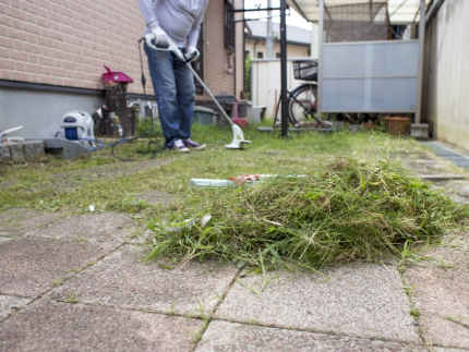 草刈り(草刈り機)のサービス写真 草刈り(草刈り機)のサービス写真