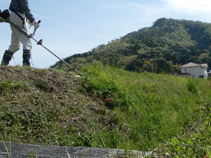 北海道全域にて対応◎夜間対応も気軽にご相談ください【草刈り機を使用して作業◎】のサービス写真2