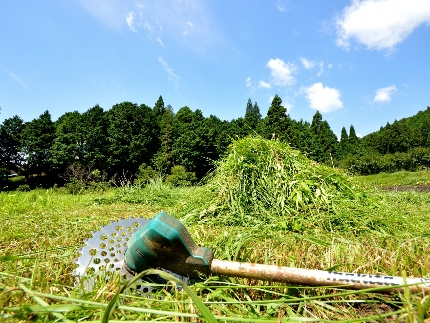 北海道全域にて対応◎夜間対応も気軽にご相談ください【草刈り機を使用して作業◎】のサービス写真4