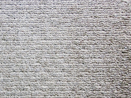 床の除菌洗浄（カーペット）のサービス写真