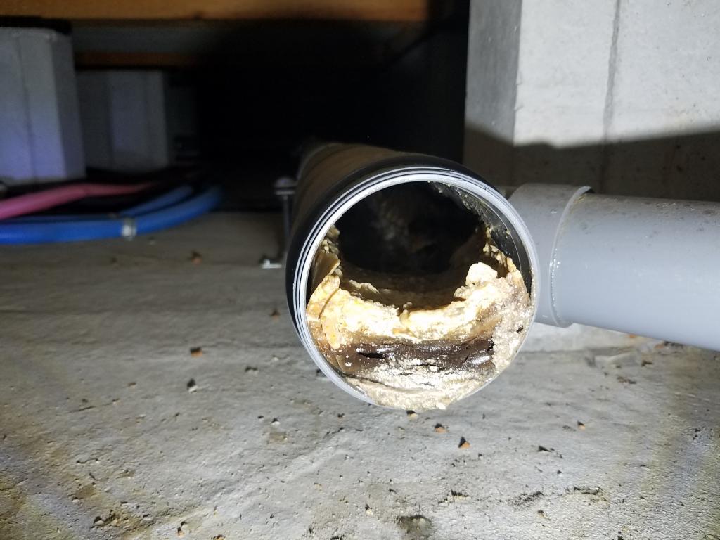 ★熟練職人の排水管高圧洗浄[高性能エンジン高圧洗浄機使用]★即日対応可能!!のサービス写真2