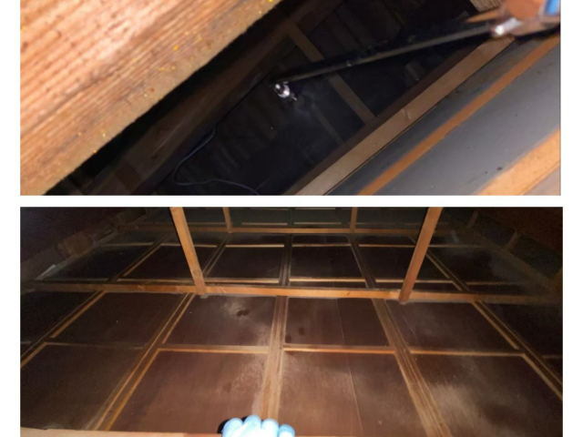 コウモリ駆除8,800円～即日対応可能！訪問見積もり無料！先ずはご相談から!のサービス写真2