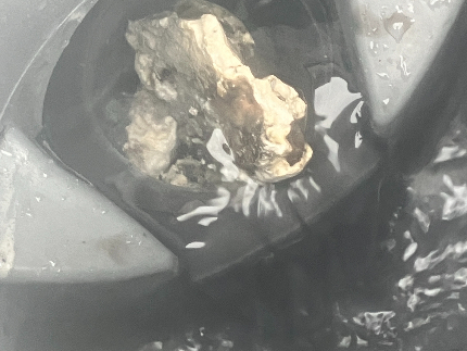 ☆排水溝・排水管のメンテナンス清掃☆詰る前にお家まるごと排水管洗浄しませんか？のサービス写真3