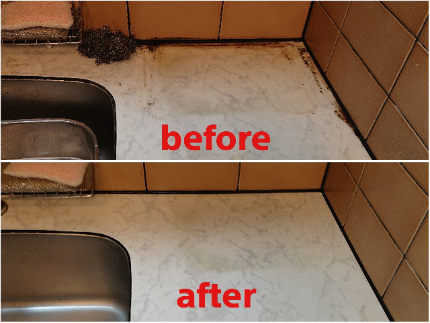 キッチンクリーニングのサービス写真 キッチンクリーニングのサービス写真