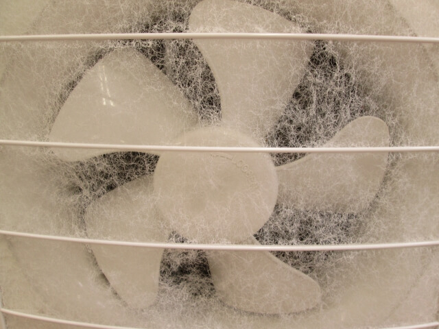 レンジフード(換気扇)クリーニング(プロペラ型)のサービス写真 レンジフード(換気扇)クリーニング(プロペラ型)のサービス写真